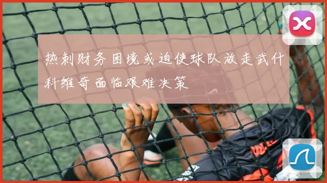 热刺财务困境或迫使球队放走武什科维奇面临艰难决策